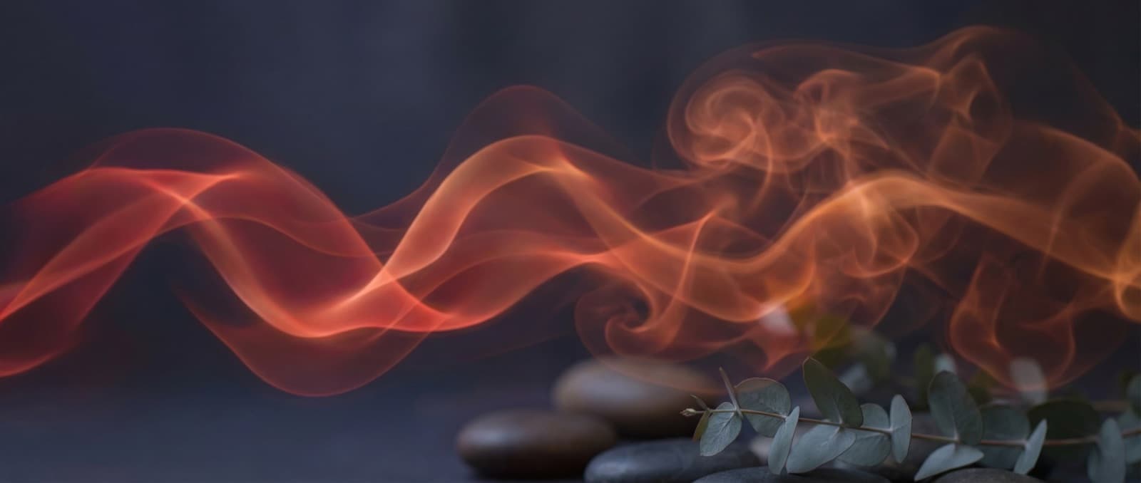 Pulse Therapy — Health & Wellness app